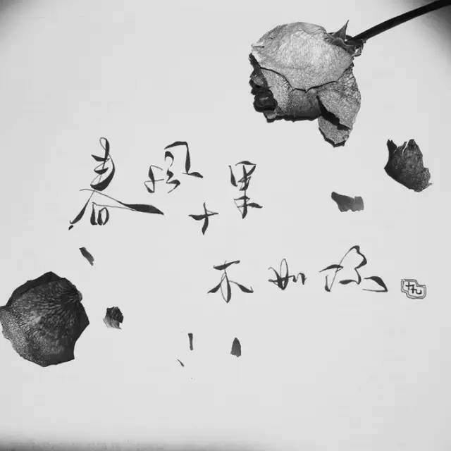 春风十里不如你(兰泊宁的古诗词随笔)