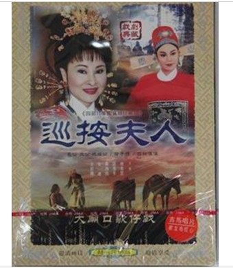 抢子婿