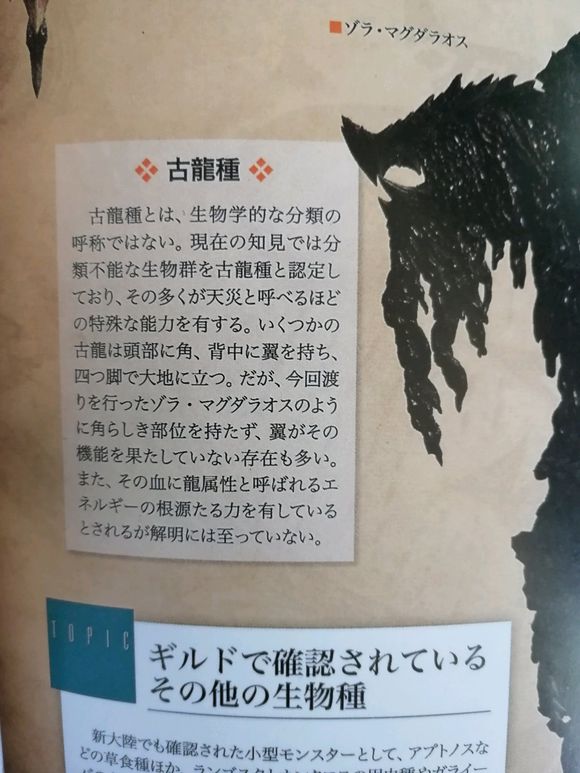 MHW设定集 MHW设定集