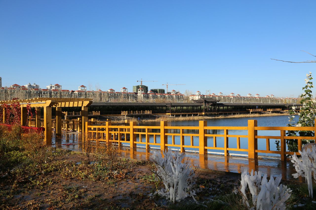 巴彦淖尔市河套黄河湿地景区 巴彦淖尔市河套黄河湿地景区