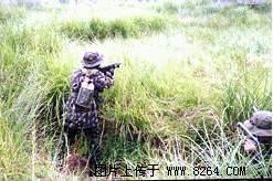 野战游戏 野战游戏