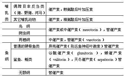 神经脑垂体激素 神经脑垂体激素