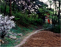 千山 千山