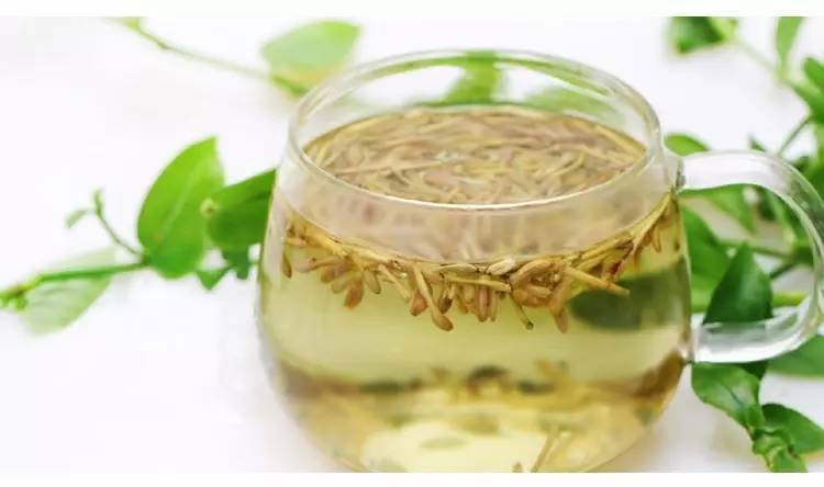 蜂蜜金银花茶