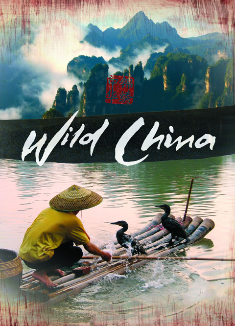 《美丽中国》 《美丽中国》