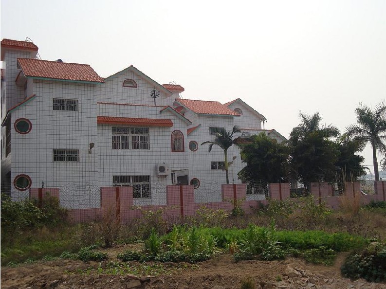 东林村 东林村