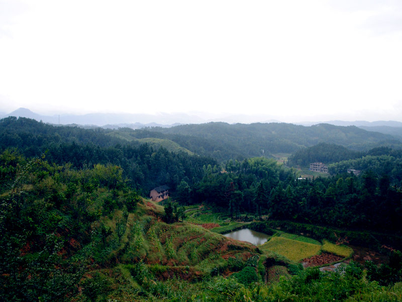 群山万壑