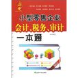 小型零售企业会计税务审计一本通
