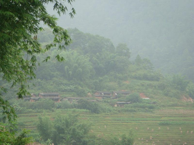 木成箐村 木成箐村