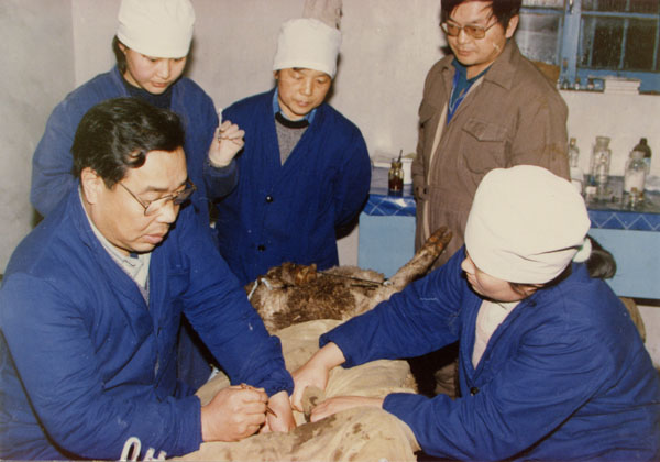 胚胎移植 胚胎移植