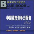 中国城市竞争力报告3