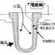 氧化锆型氧感测器