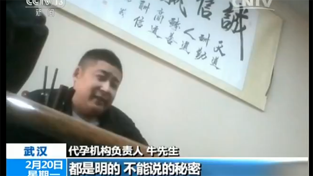 代孕母亲 代孕母亲