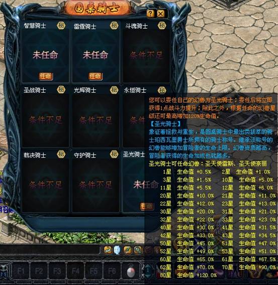 圣光骑士(网路游戏《魔域》里圆桌骑士的一种类型)