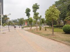 周边图 周边图