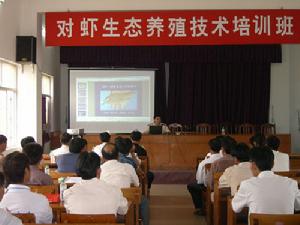 对虾养殖培训 对虾养殖培训