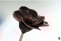 手工朱古力花