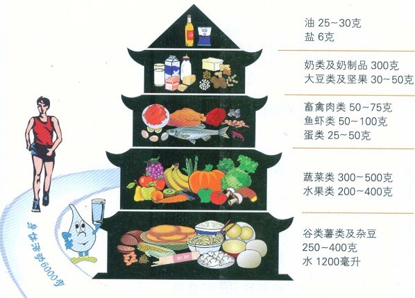 膳食宝塔 膳食宝塔
