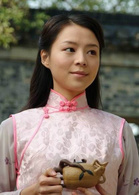 紫玉金砂(2005年秦汉主演电视剧)