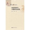 辛亥革命与中国政治发展