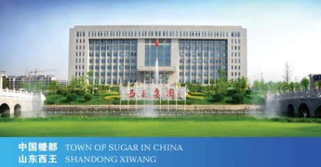 西王糖业有限公司 西王糖业有限公司