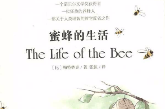 蜜蜂的生活