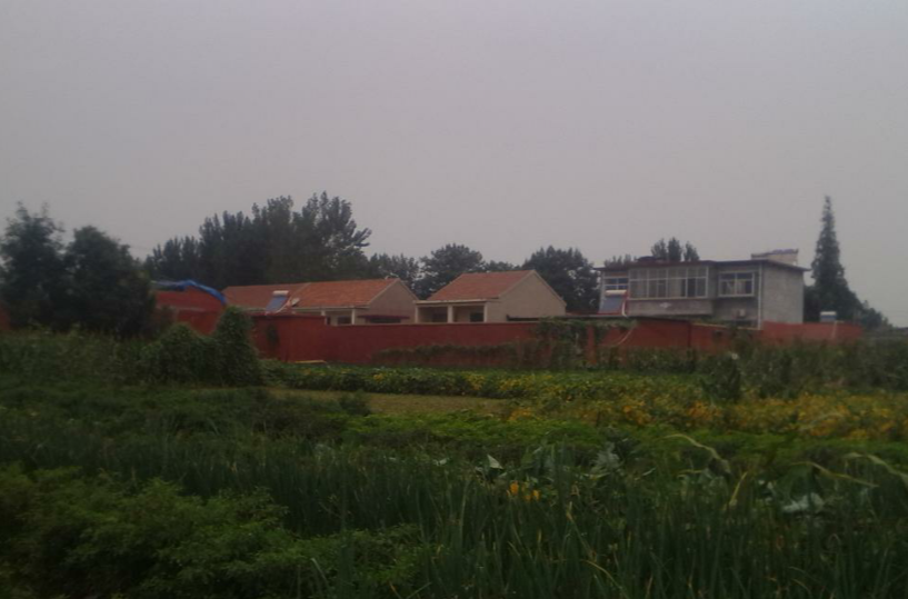 洪村(山东省枣庄市市中区西王庄镇辖村)