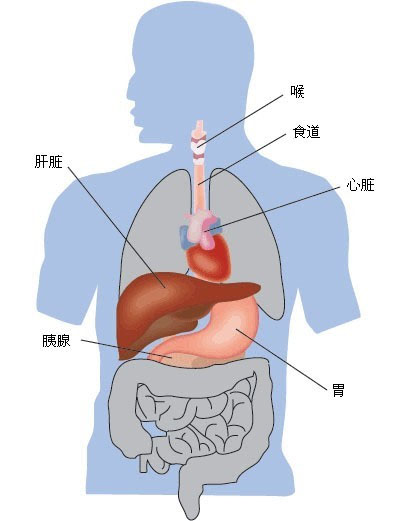 爆发性肝功能衰竭 爆发性肝功能衰竭