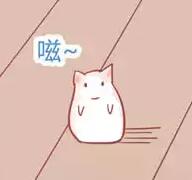 时间停止少女的日常