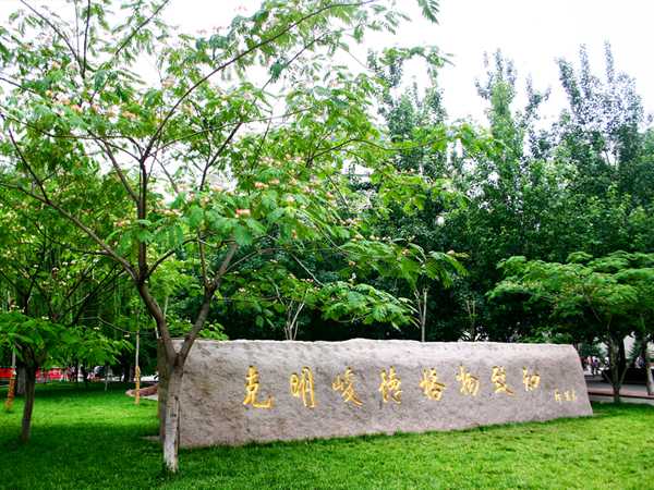 山东财经大学实践本科 山东财经大学实践本科