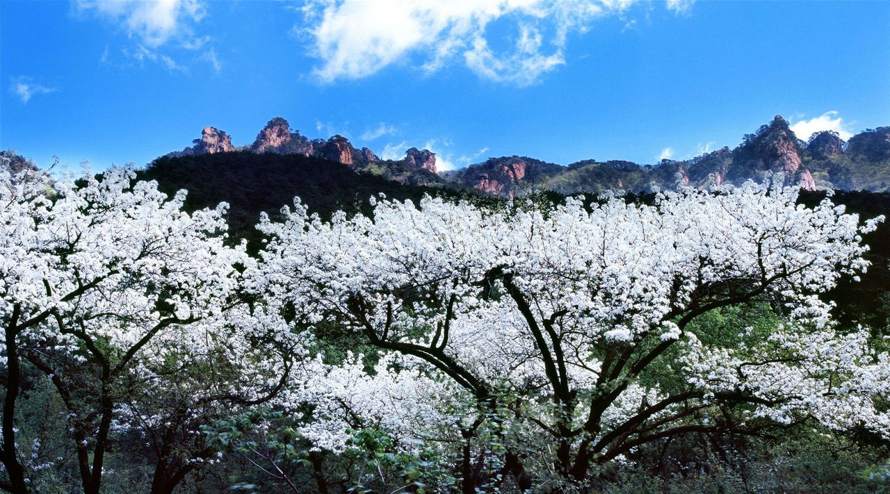 千山(辽宁省鞍山市千山风景区) 千山(辽宁省鞍山市千山风景区)
