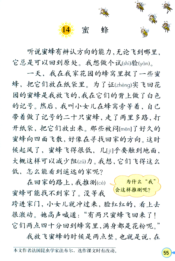 蜜蜂(法布尔着文章，语文课文)
