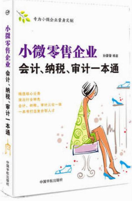 小微零售企业会计、纳税、审计一本通
