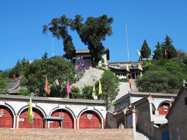 金台区