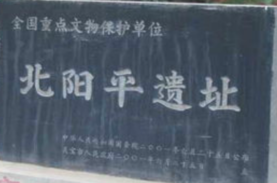 北阳平遗址