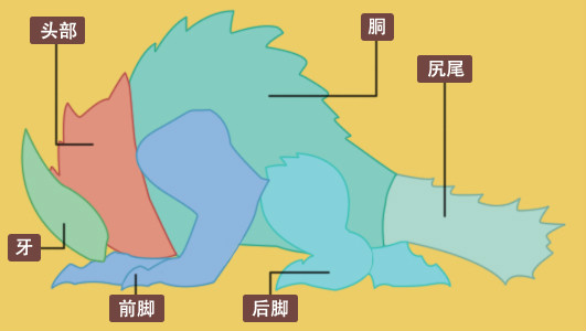 按肉质区分身体部位 按肉质区分身体部位