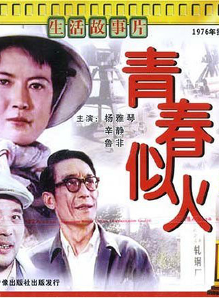 赵奎娥