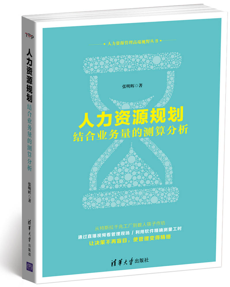 人力资源规划(张明辉编着图书)