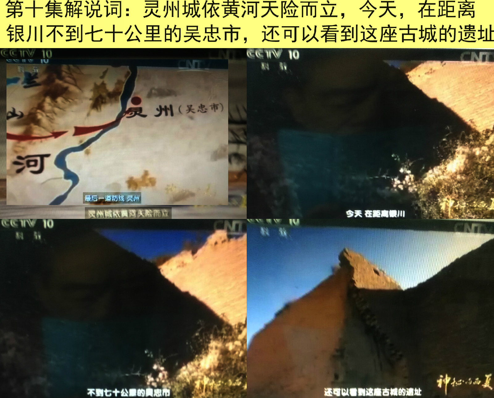 神秘的西夏 神秘的西夏