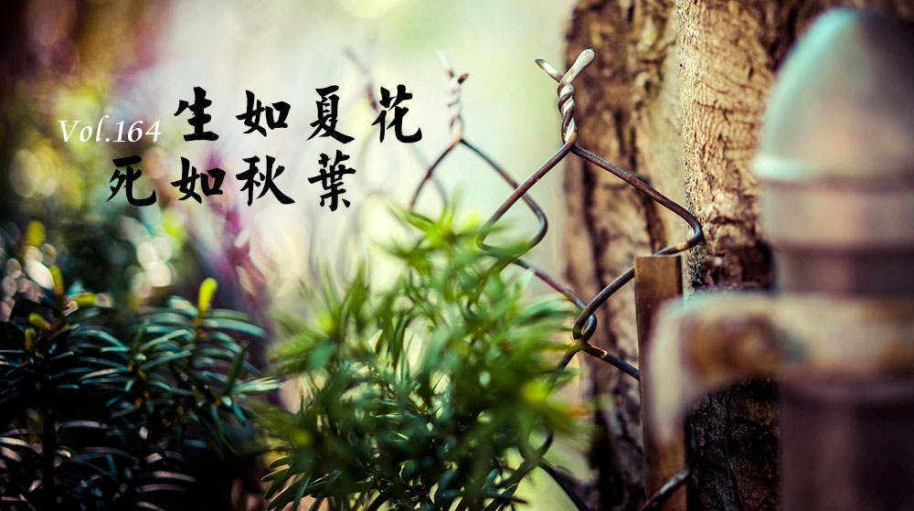 使生如夏花之绚烂，死如秋叶之静美