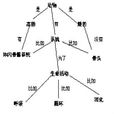 认知结构论