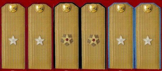 陆、海、空军少将常服肩章(1955~1965) 陆、海、空军少将常服肩章(1955~1965)