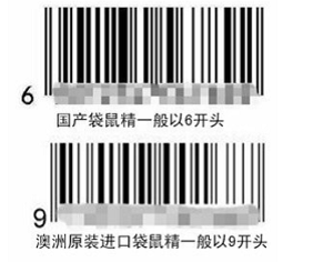 高米迪战士:自然之王 高米迪战士:自然之王