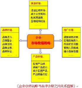 多品牌策略 多品牌策略