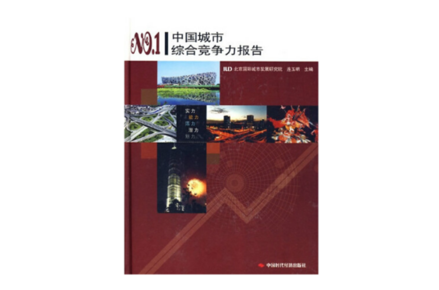 中国城市综合竞争力报告