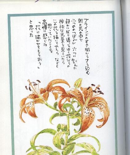 诗画(汉语辞彙)