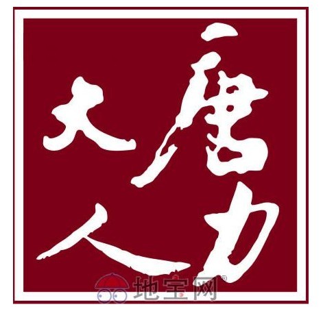 大唐人力logo 大唐人力logo