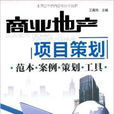 商业地产项目策划：範本·案例·策划·工具