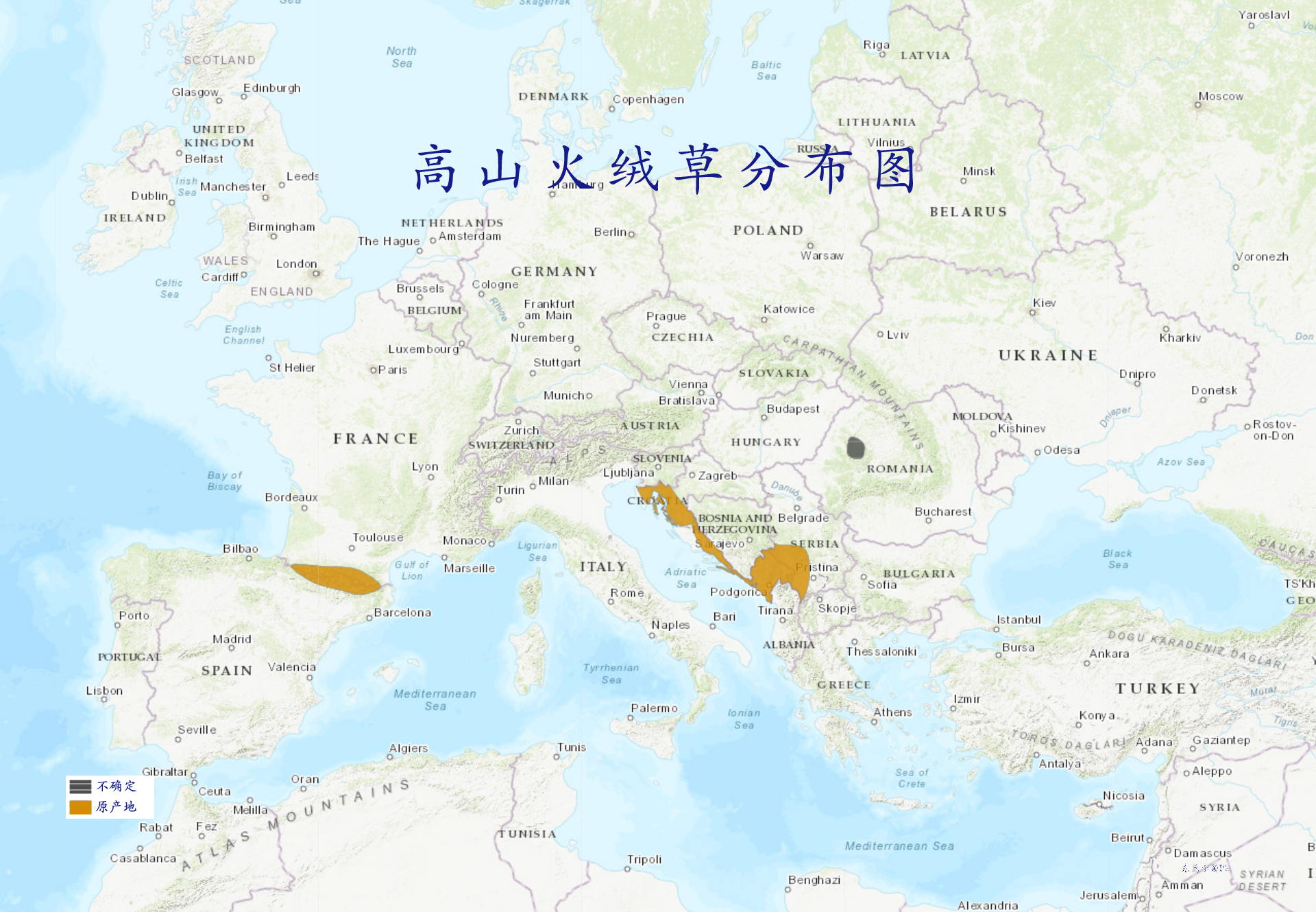 高山火绒草分布图 高山火绒草分布图