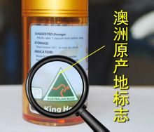 高米迪战士:自然之王 高米迪战士:自然之王